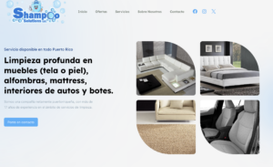 Shampoo Solutions LLC